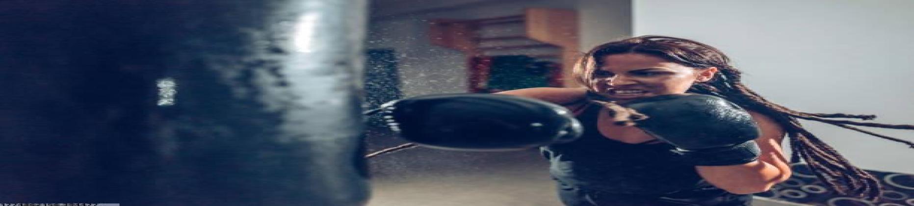 世界杯球迷最新入口简介